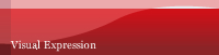 Visual Expression