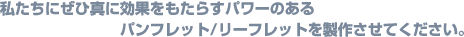 私たちにぜひ真に効果をもたらすパワーのあるパンフレット/リーフレットを製作させてください。